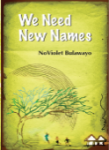 We_Need_New_Name_51d18cc95924c.png